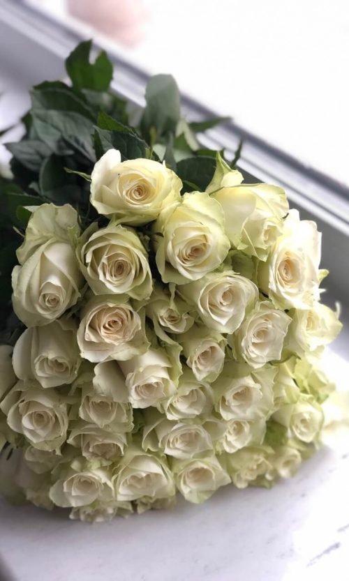 Чайна троянда 25 шт. 060