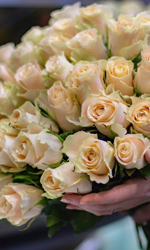 Моно кенійських троянд 063