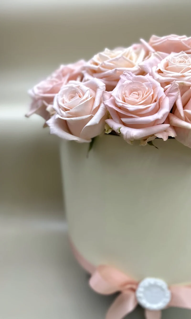 Капелюшна коробка 102