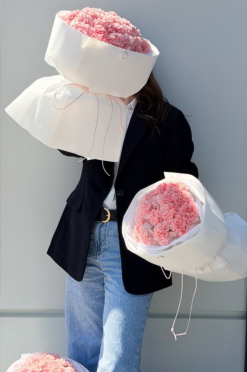 Сучасний моно dianthus 03
